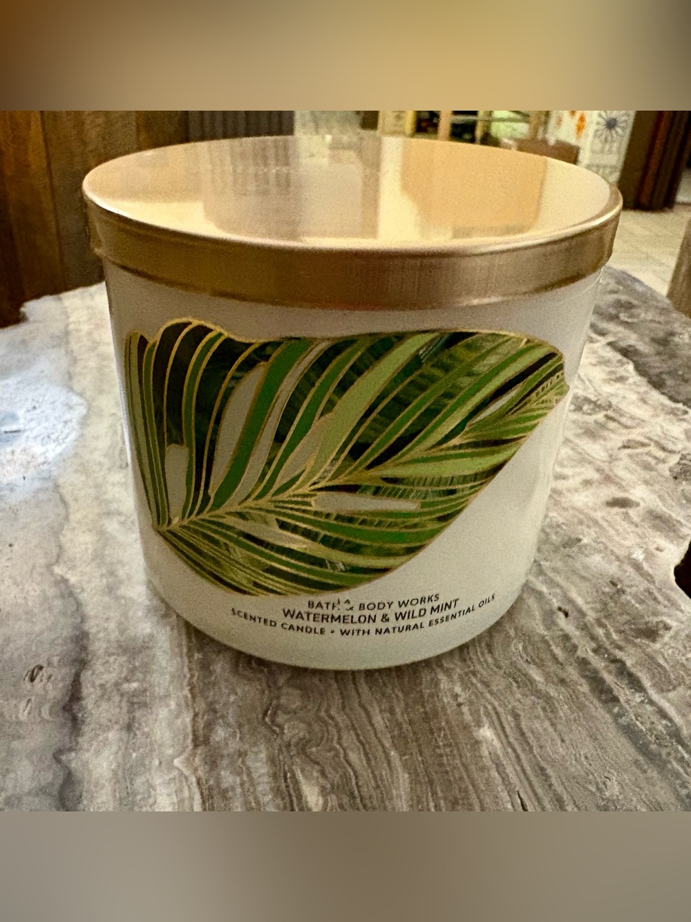 New/Unused Bath & Body Works Watermelon & Wild Mint 3-Wick Candle
